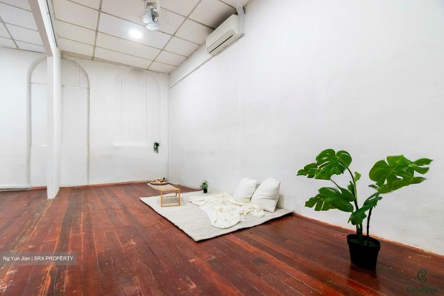 Jalan Besar Stadium (D8), Shop House #575749761